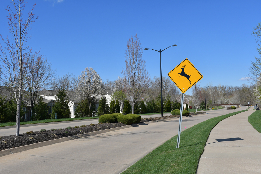 Deer Crossing Sign in Neighborhood