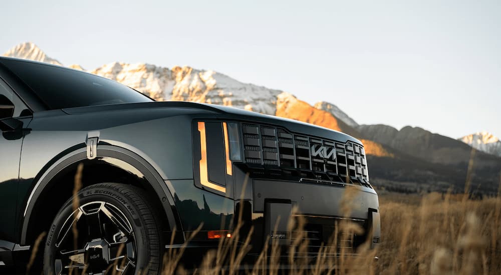 Black 2027 Kia Telluride parked in grass