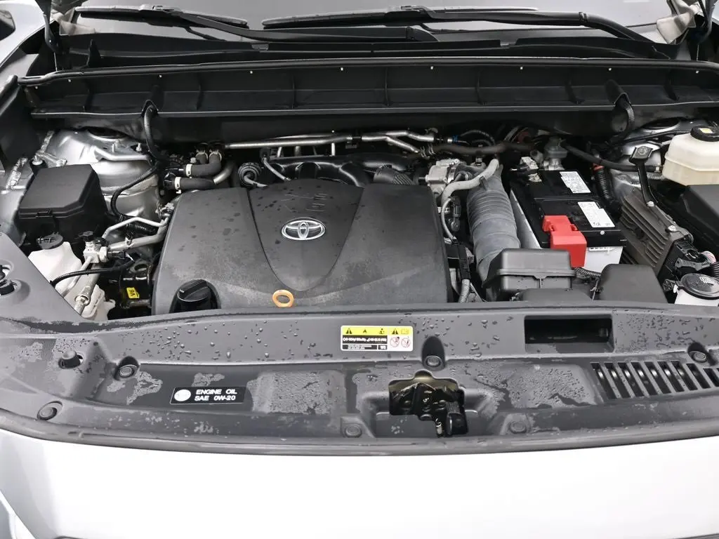 image-19