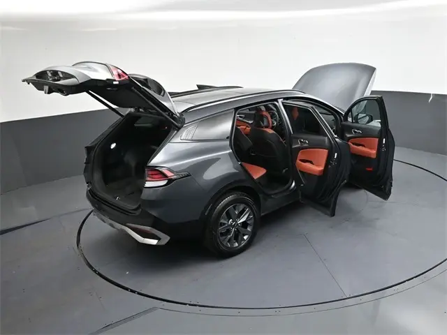 image-19