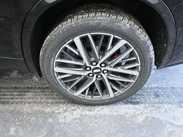 image-11
