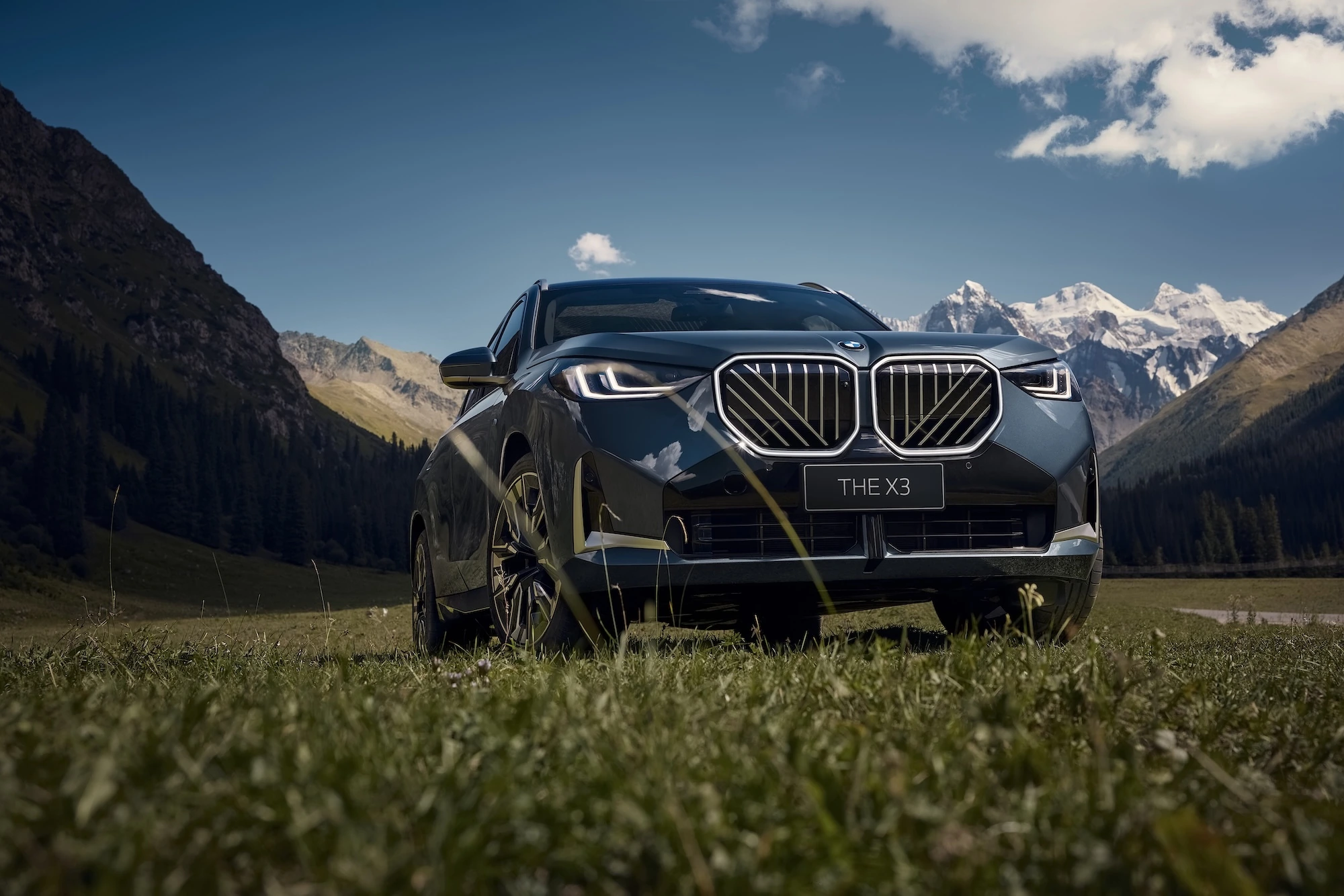 BMW of Murray