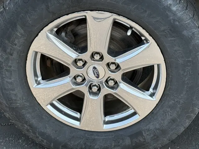 image-11