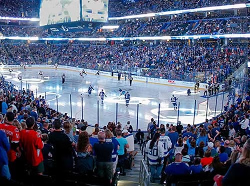 Image of a hockey game and crowd at sports arena.