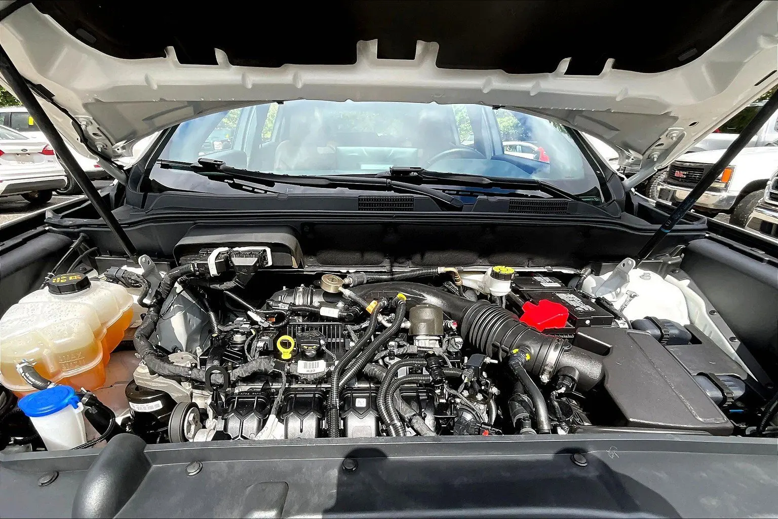 image-8
