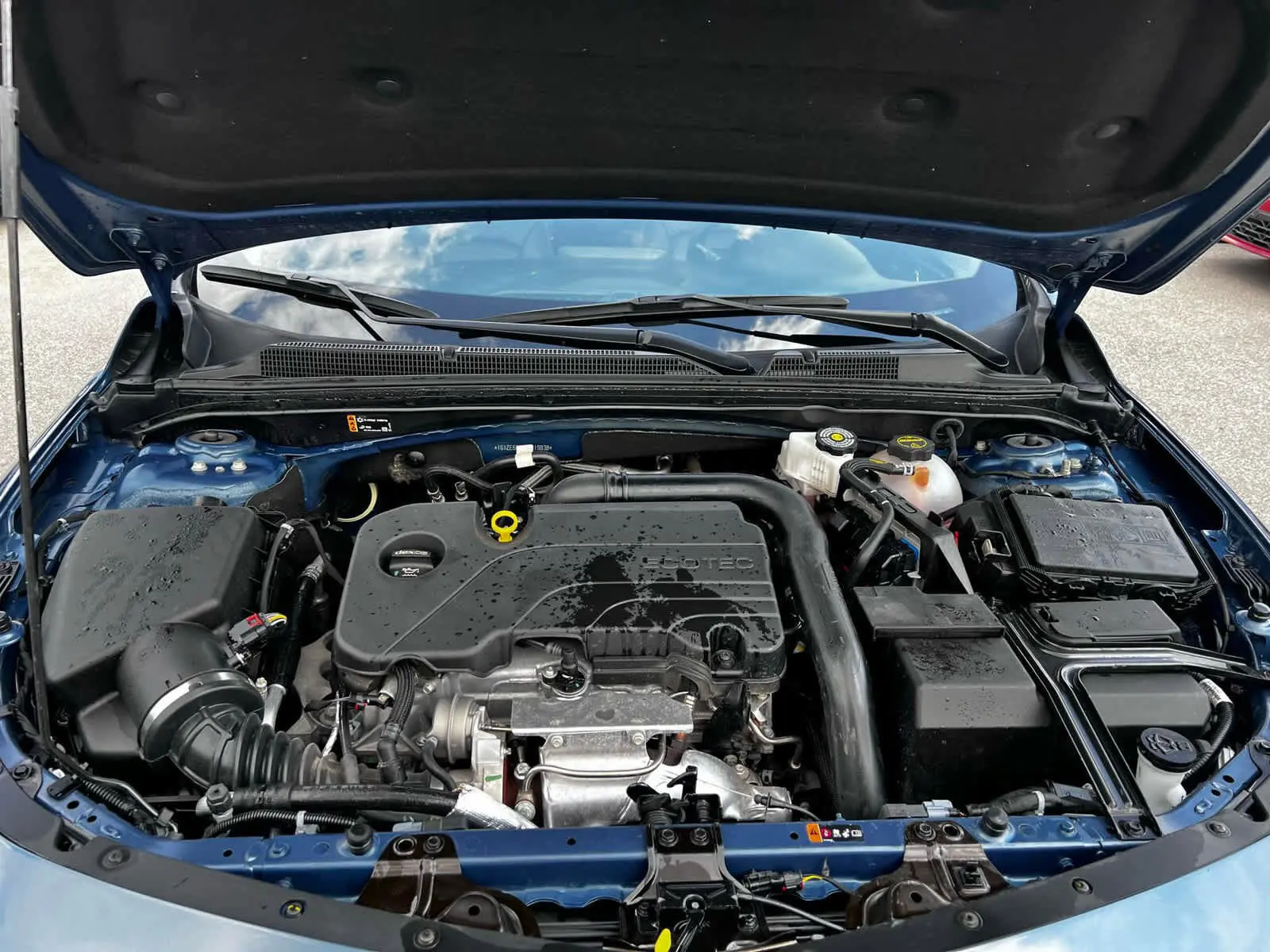 image-3