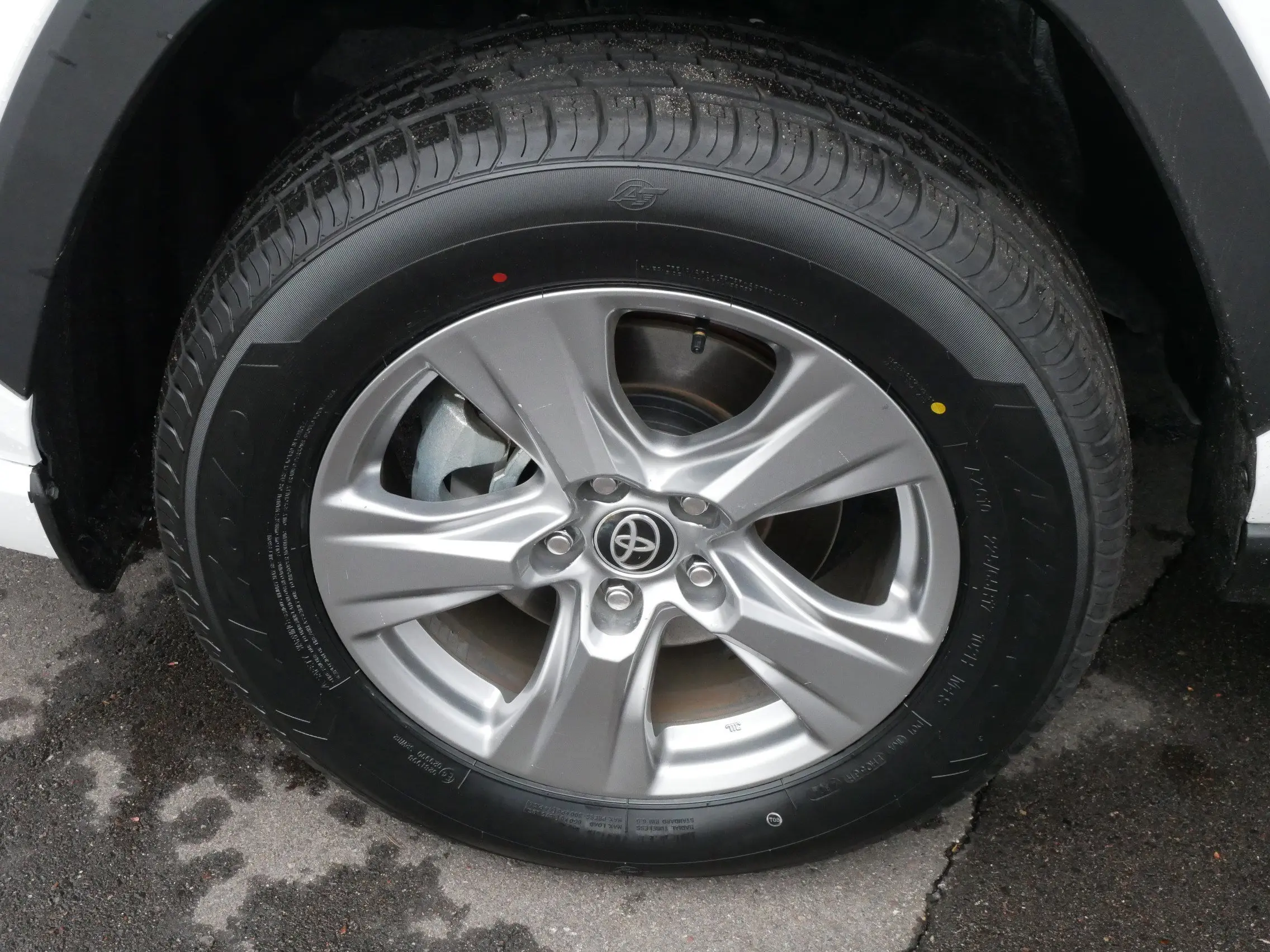 image-14