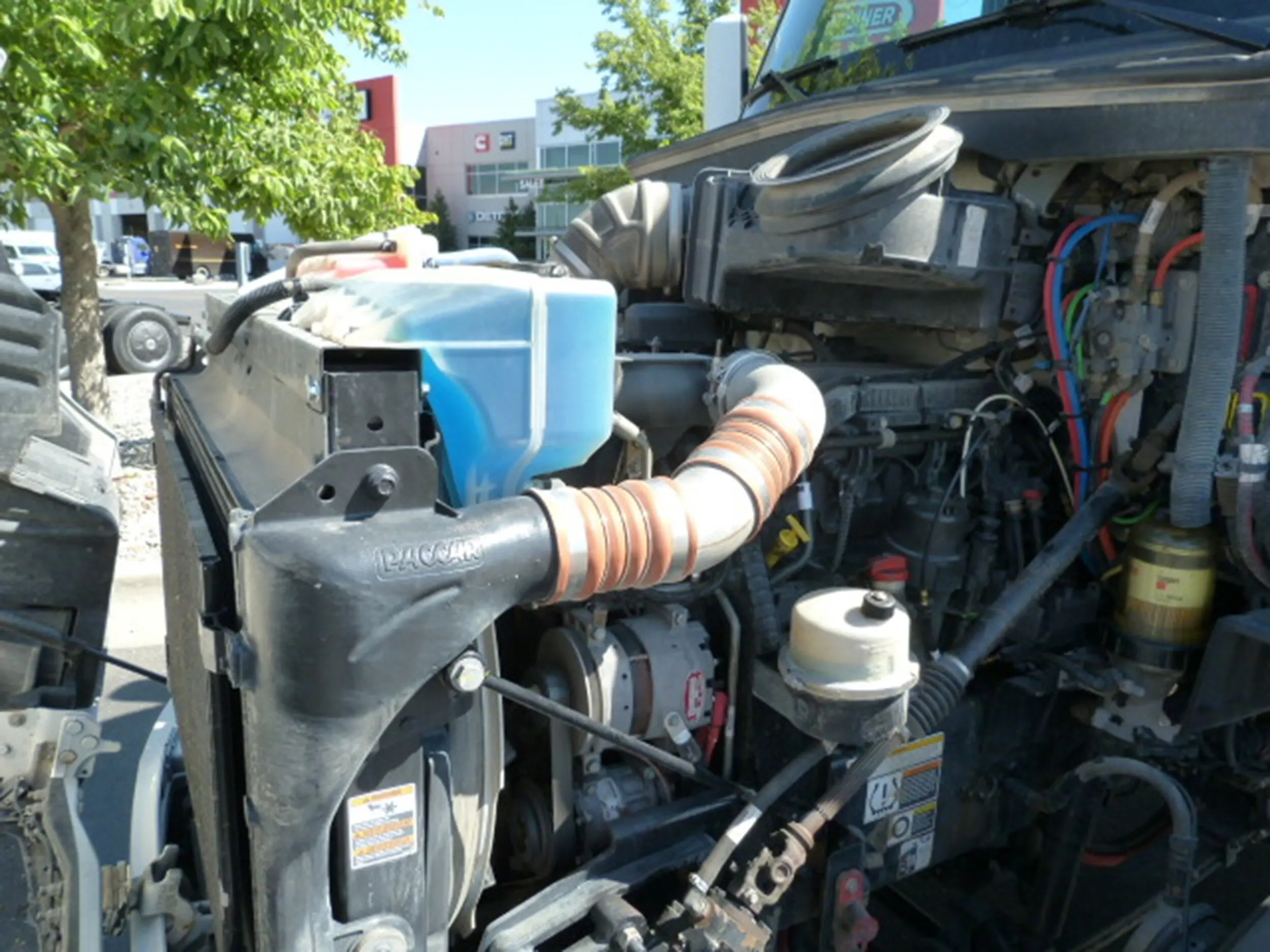image-19