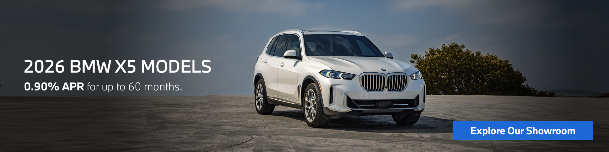 2026 BMW X5 Models