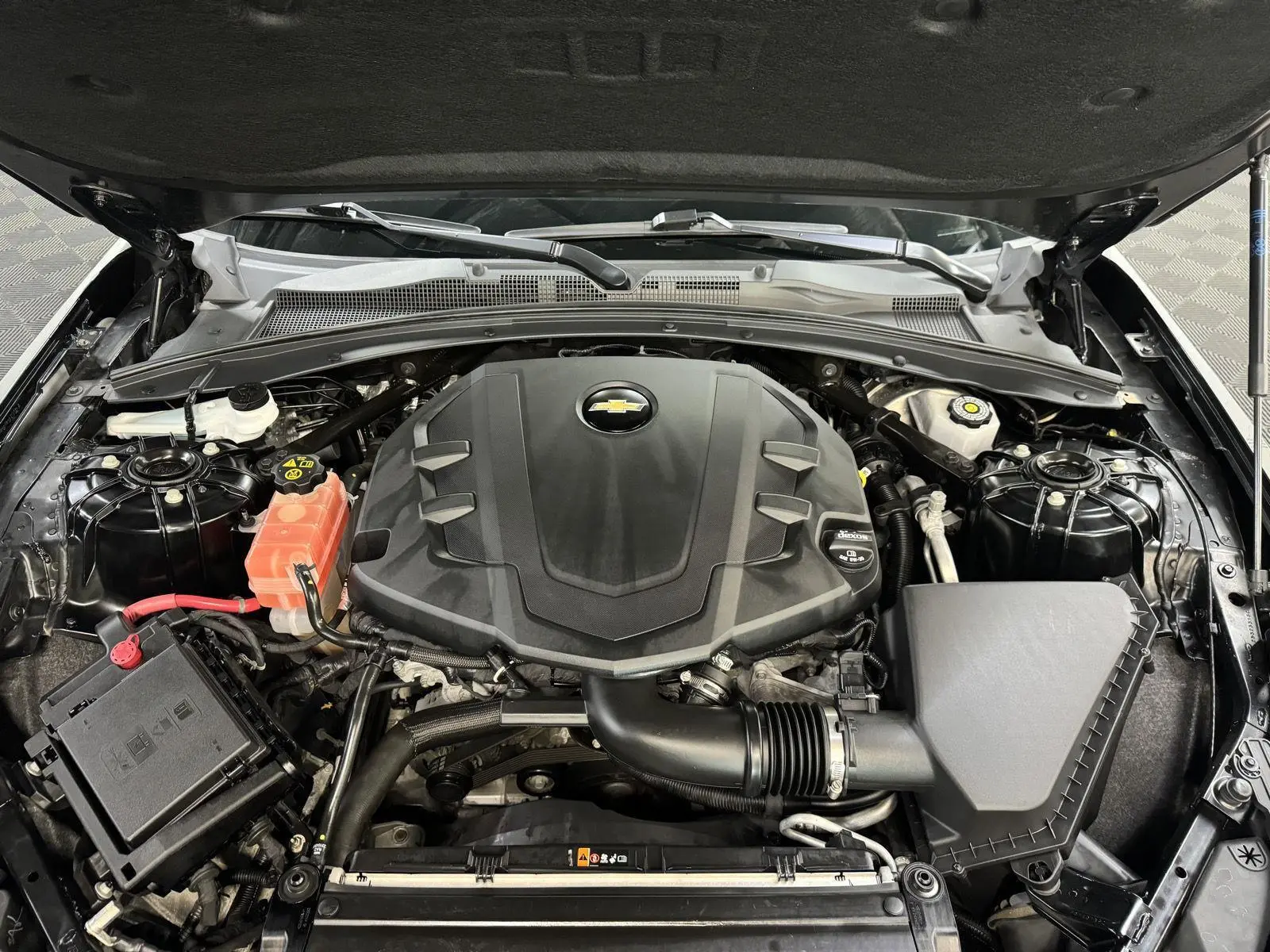 image-8