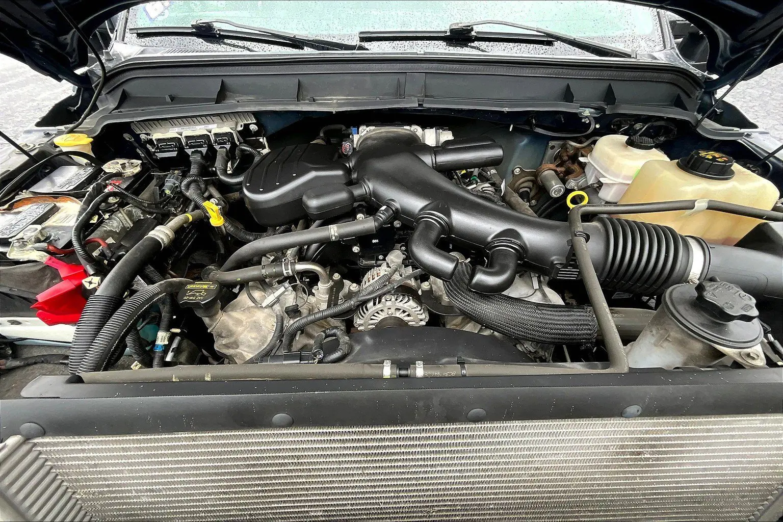 image-8