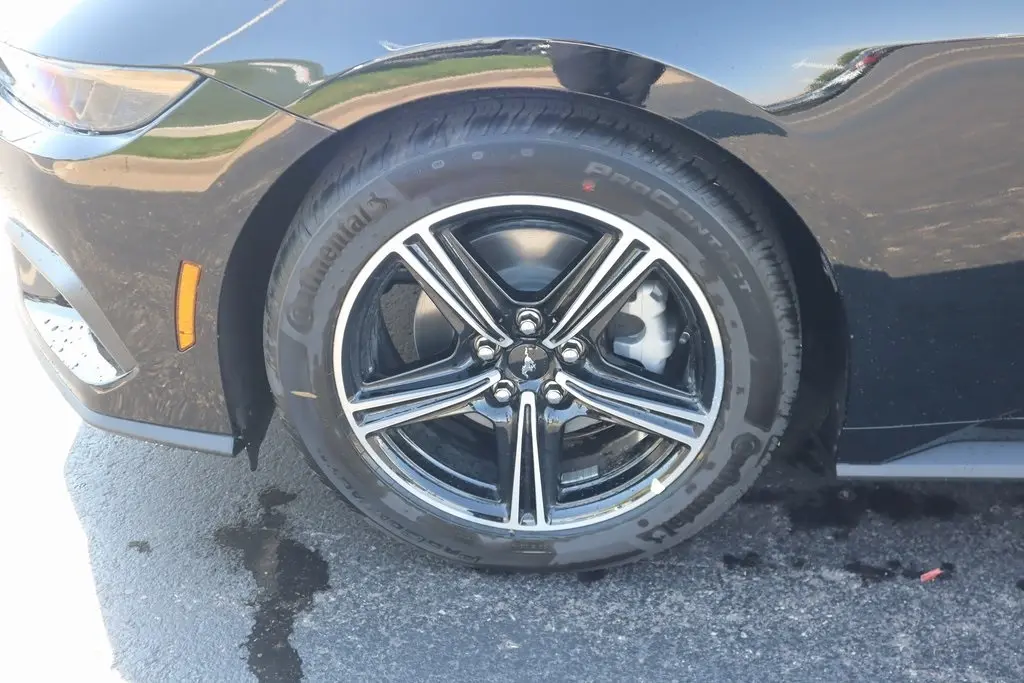 2025 Ford Mustang EcoBoost photo 15