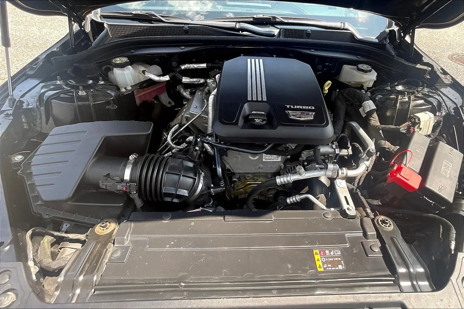 image-12
