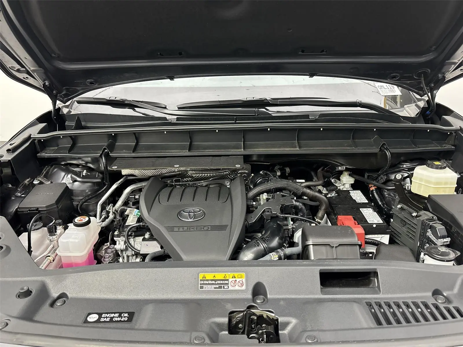 image-19