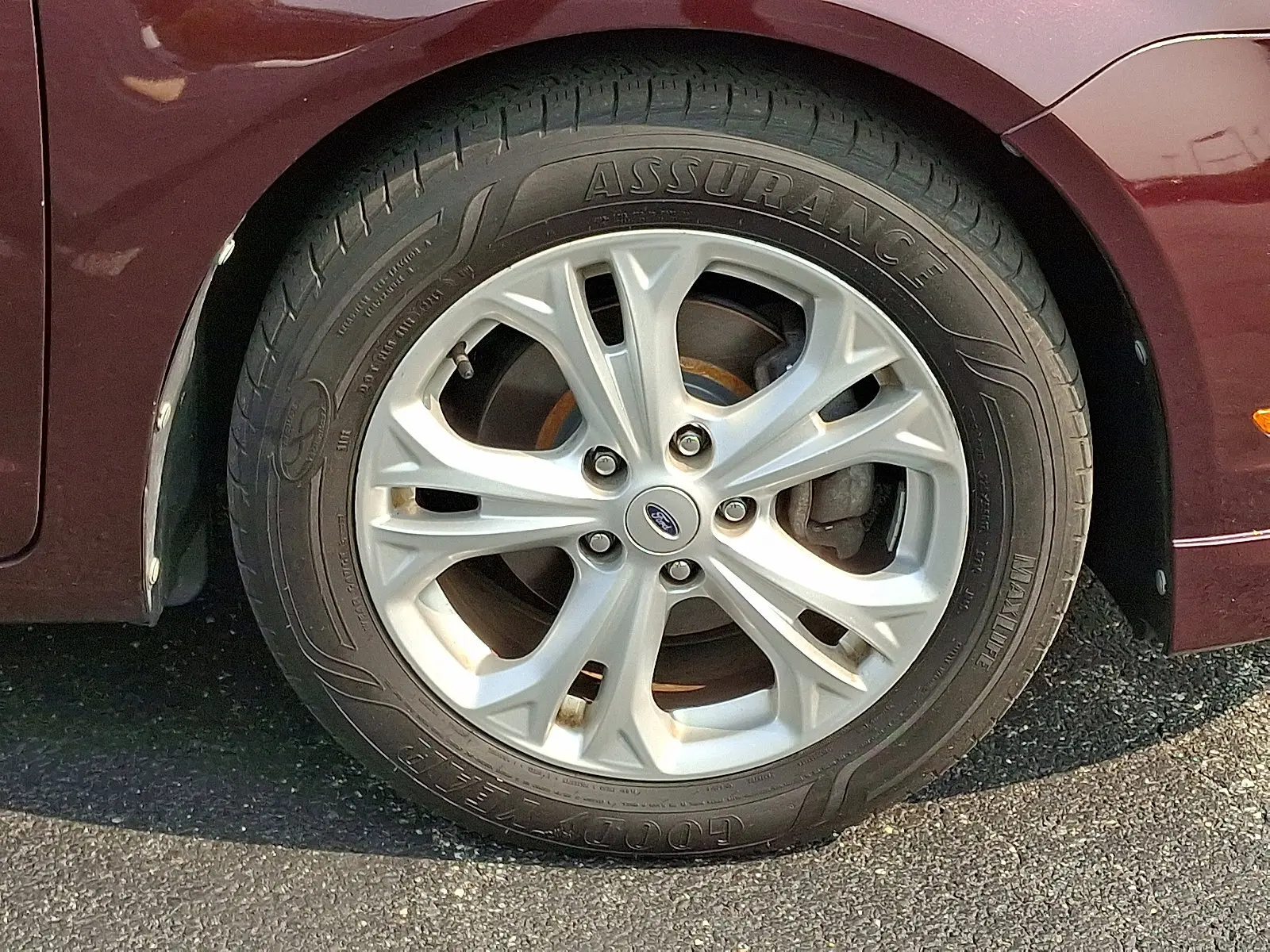 image-7