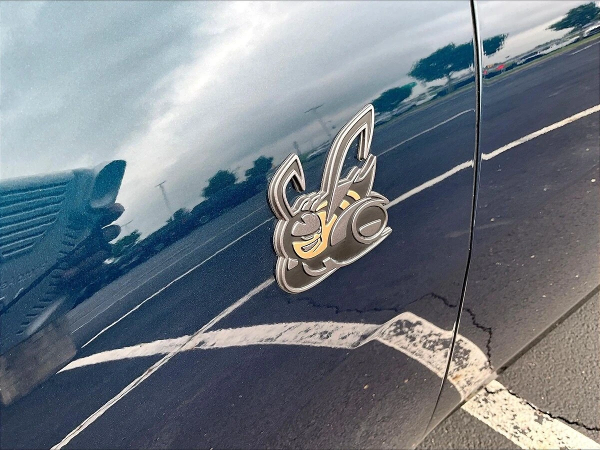 Photo 21
