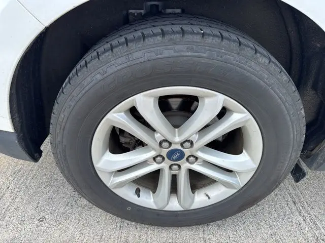 image-7
