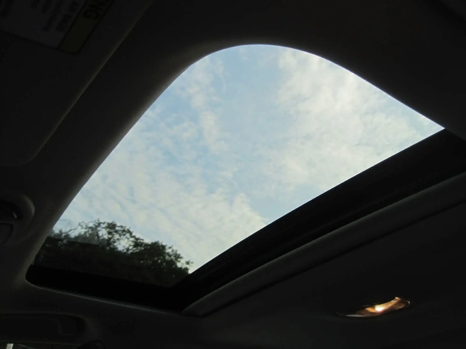 image-19