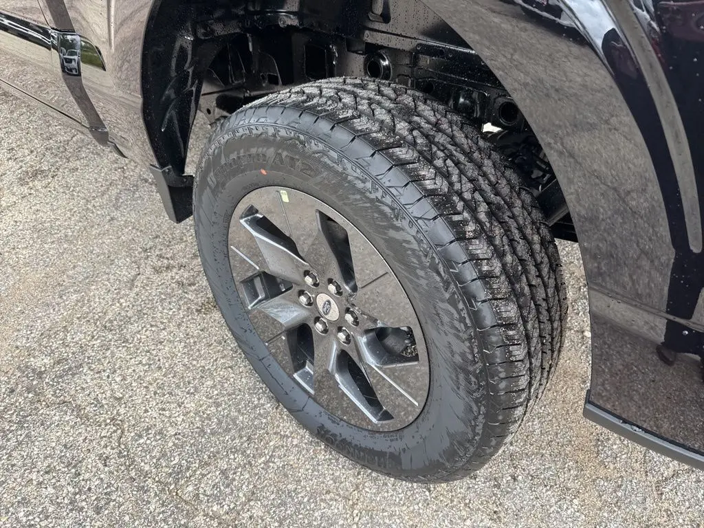 image-13