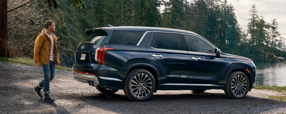 Man walking beside a blue Hyundai Palisade parked by a lake