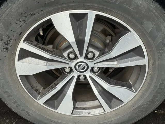 image-11