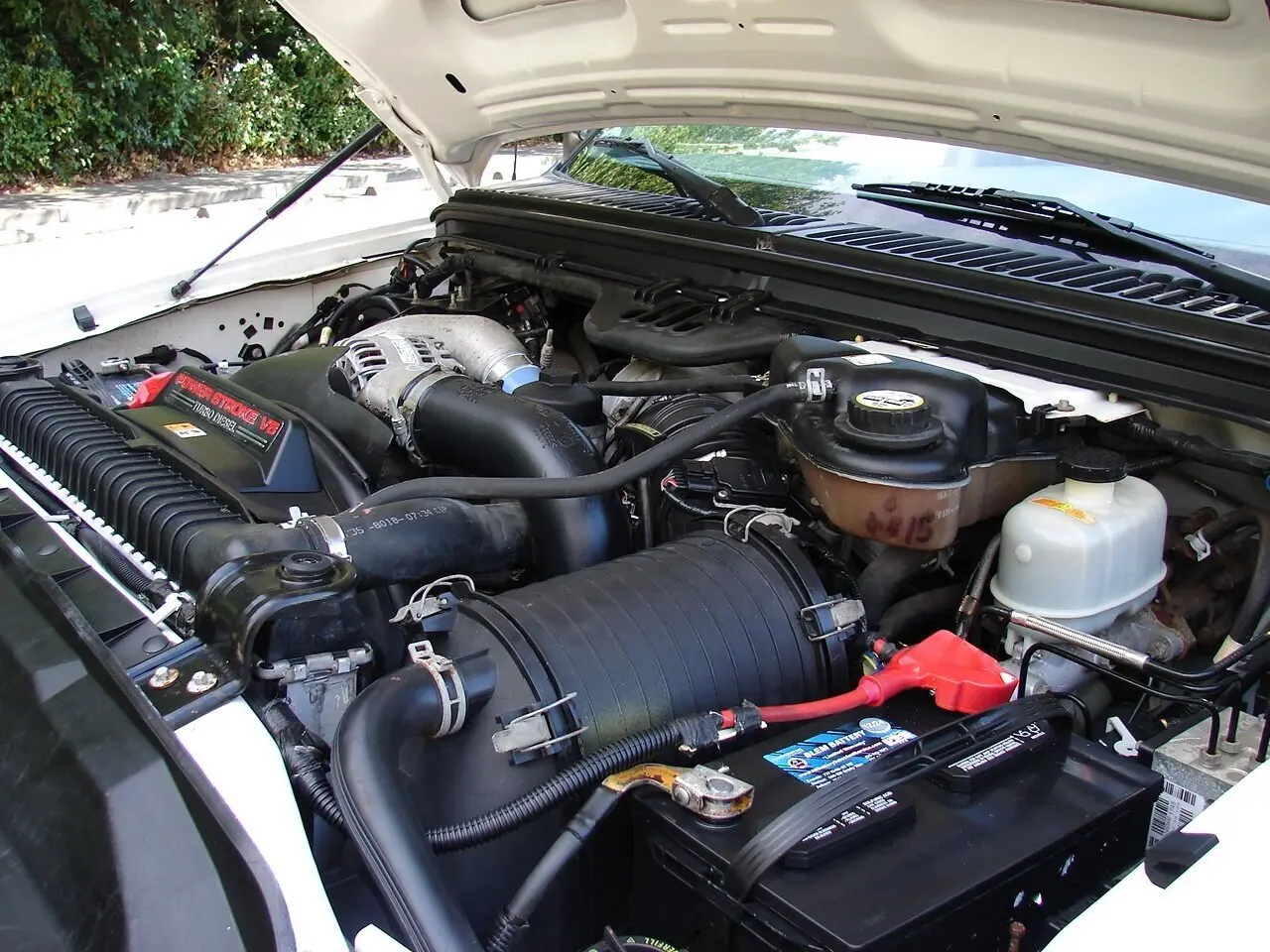 image-2