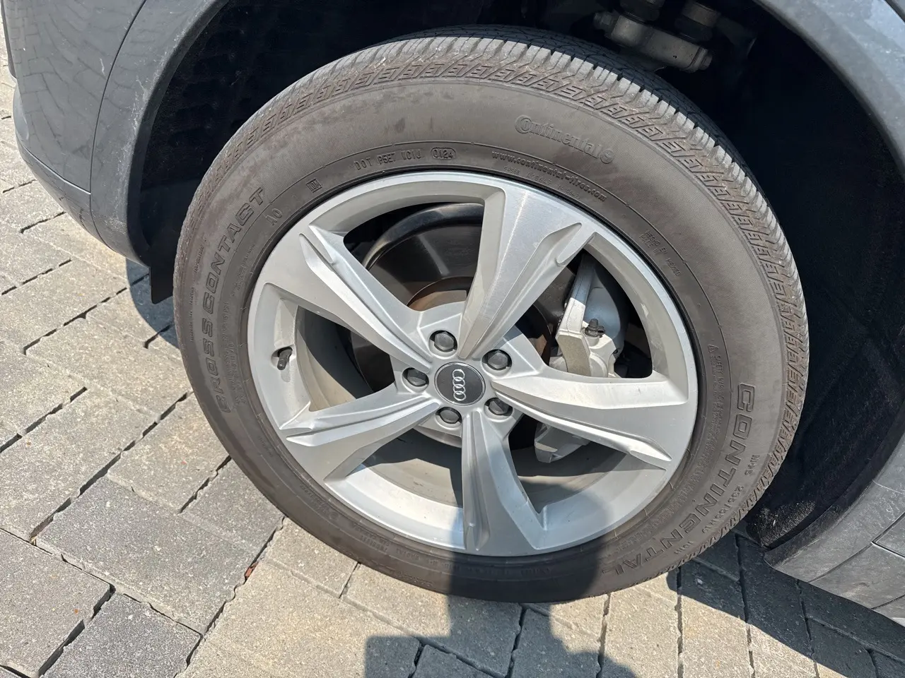 image-7