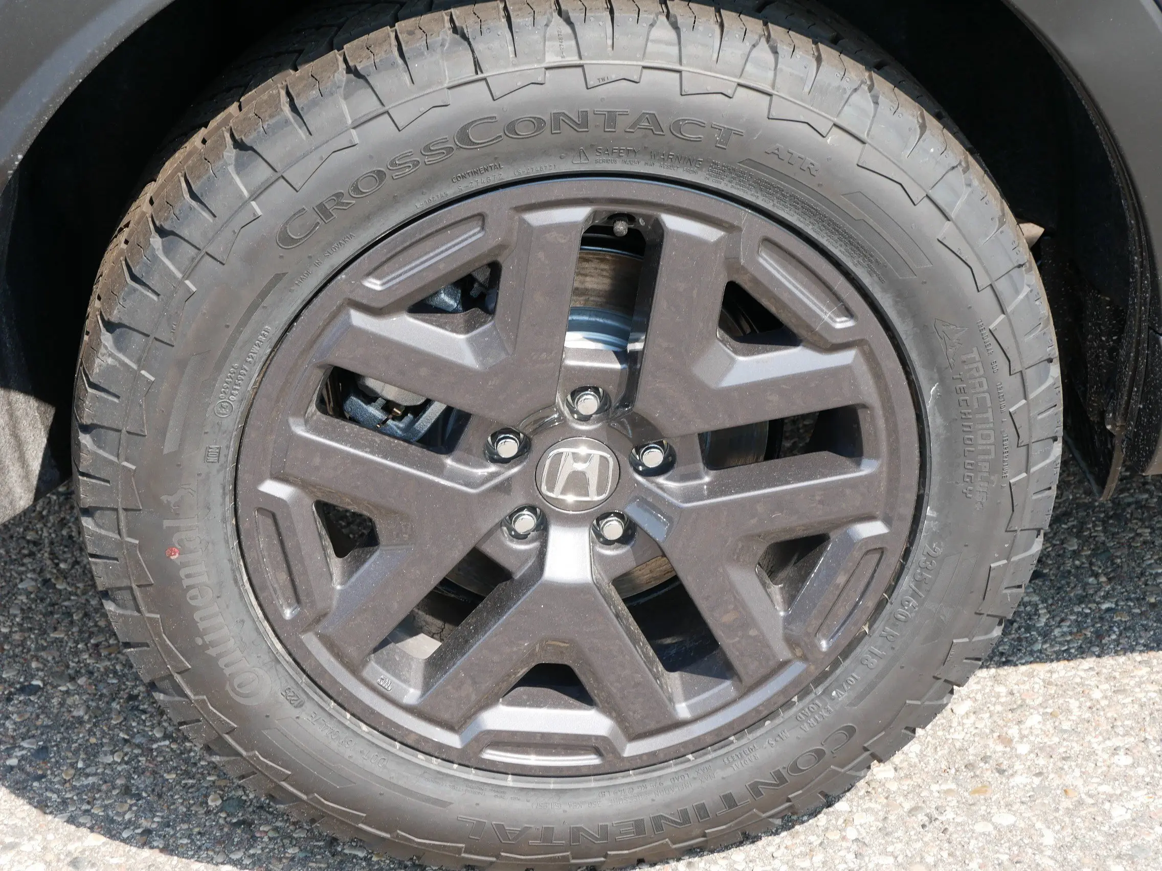 image-4
