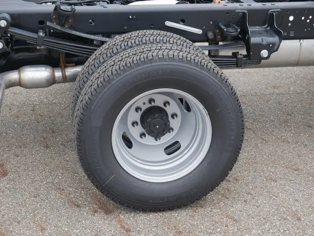 image-7