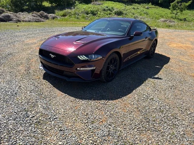 2018 Ford Mustang EcoBoost Coupe Premium's photo