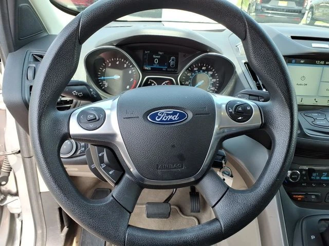 image-19