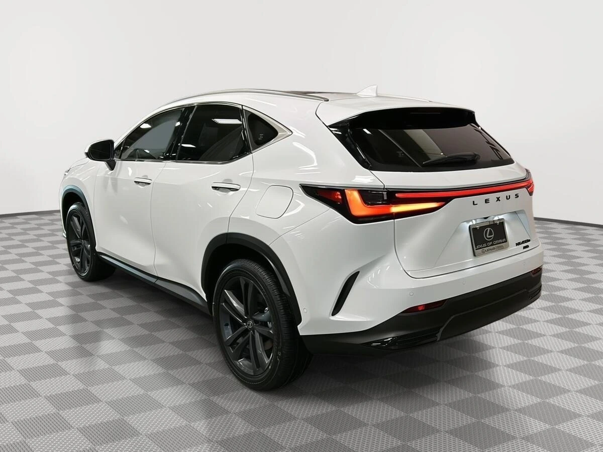 2026 Lexus NX 450h+ Luxury - Photo 18