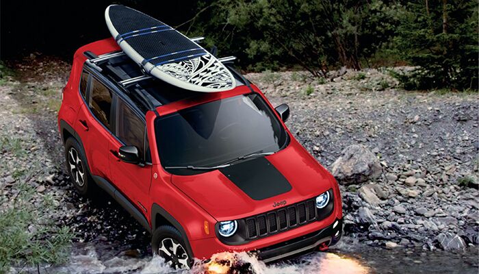 RENEGADE