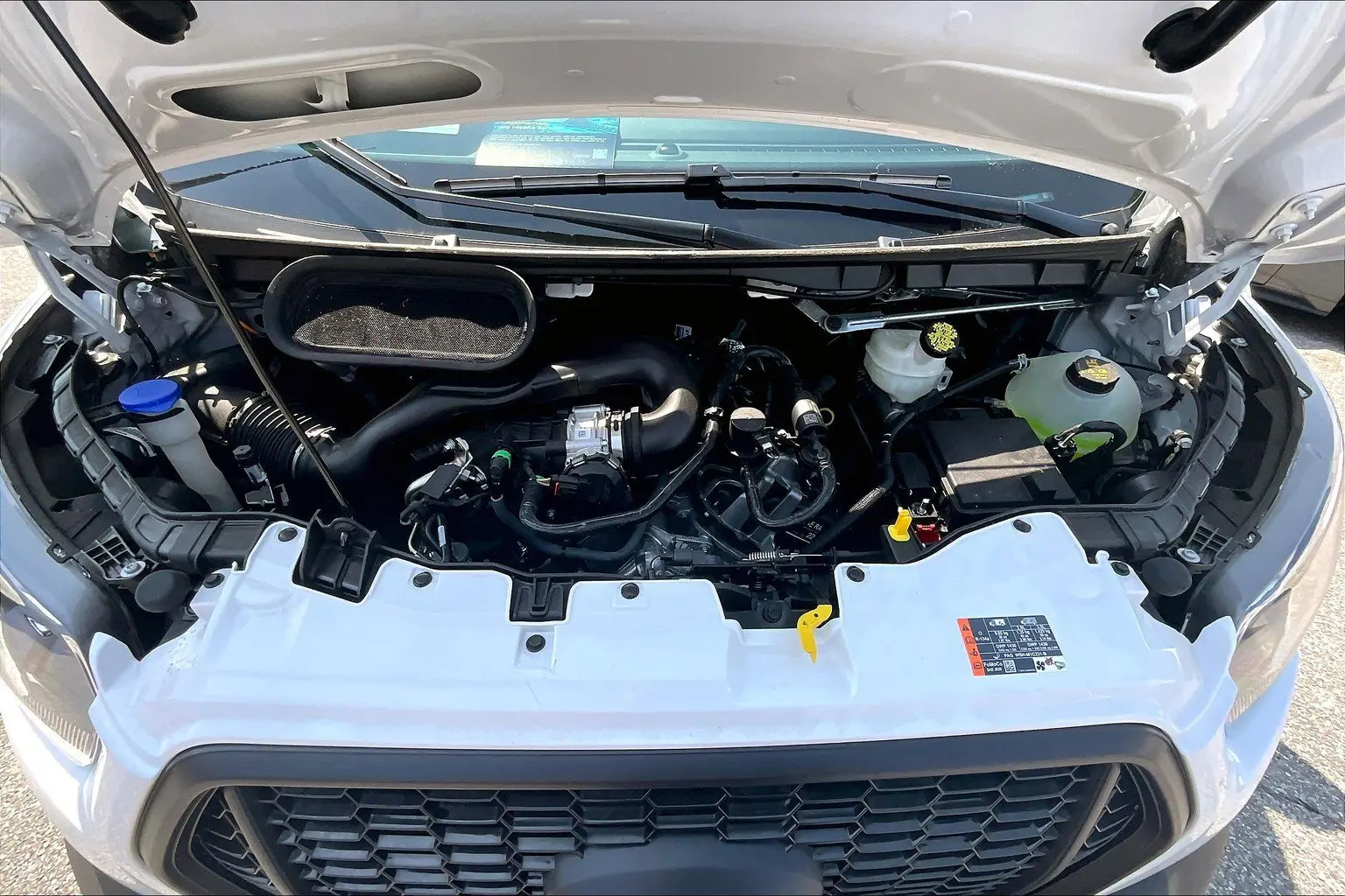 image-9
