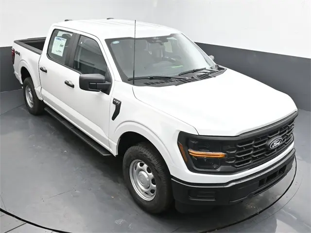 image-19