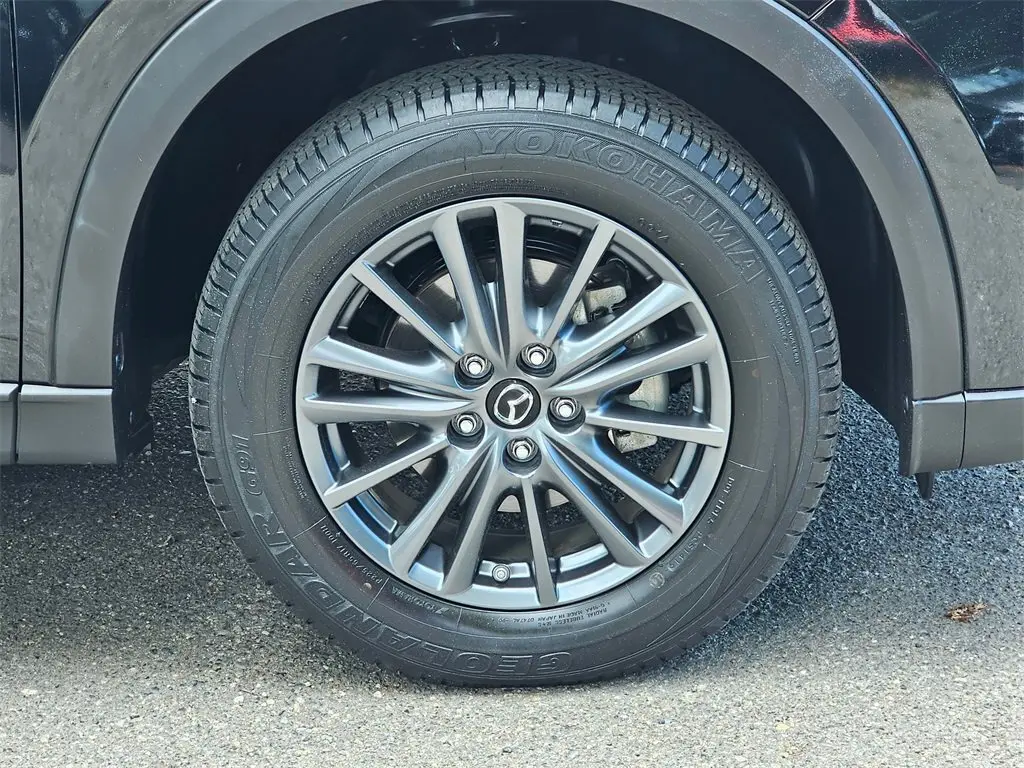 image-8