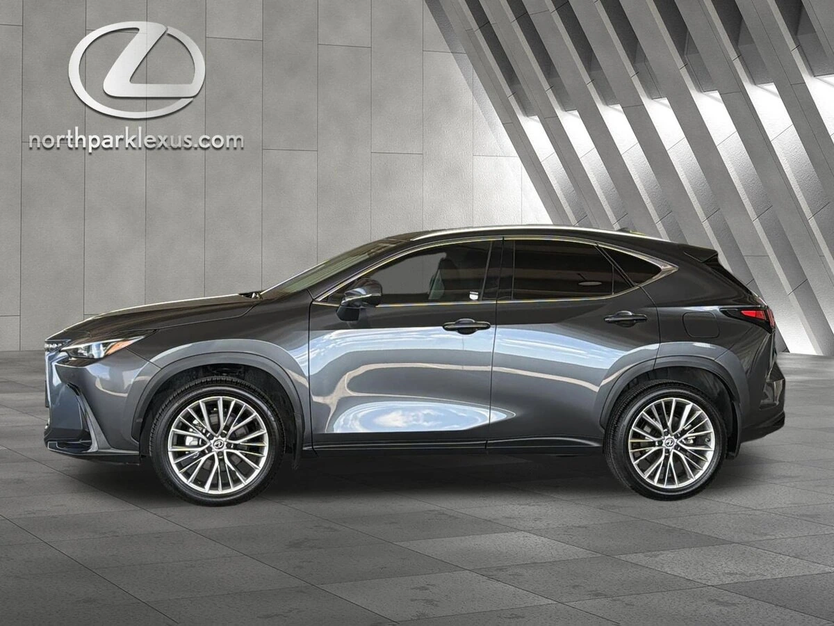 2025 Lexus NX