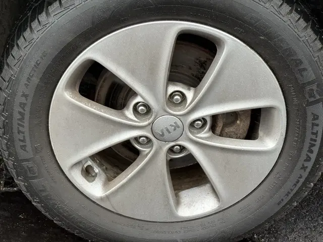 image-10