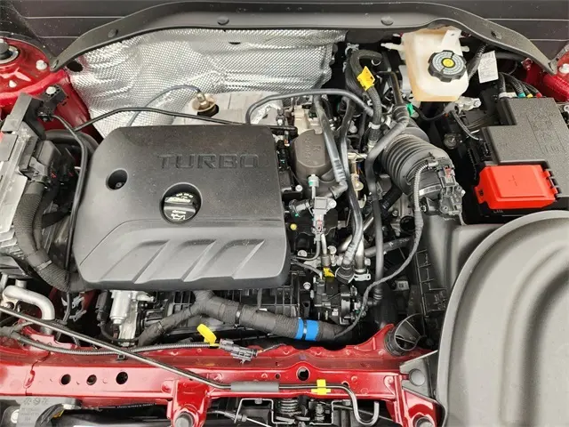 image-19