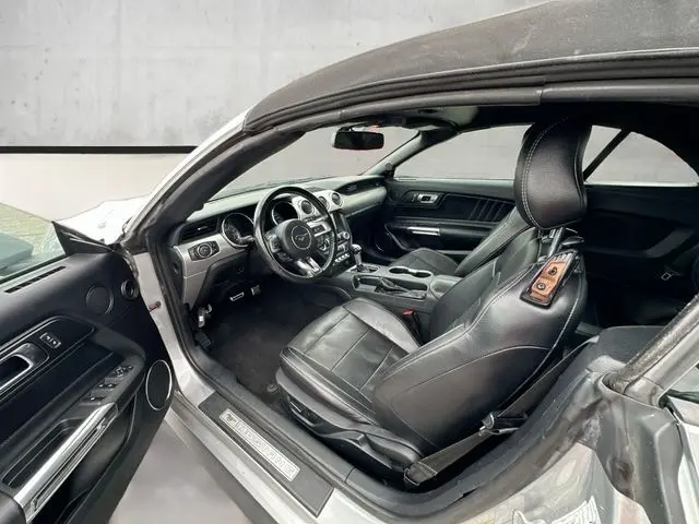 image-19