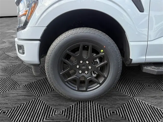 image-13