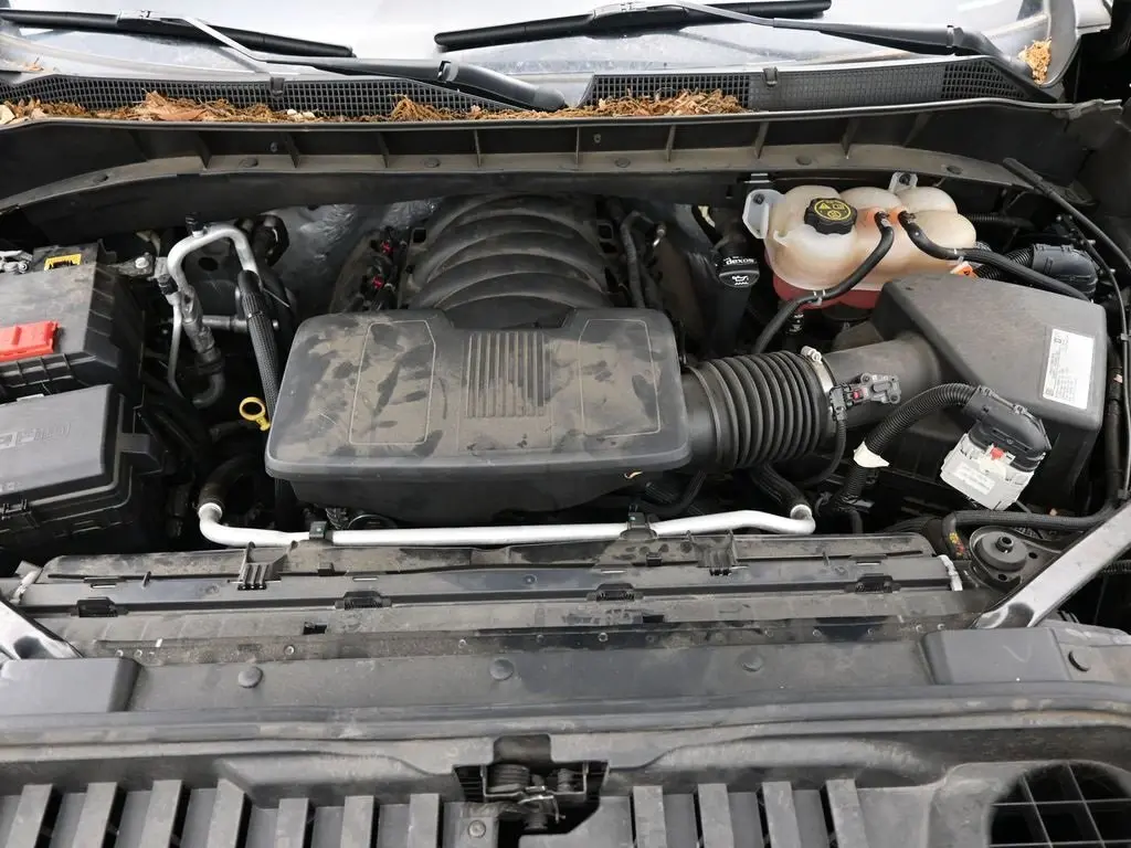 image-19
