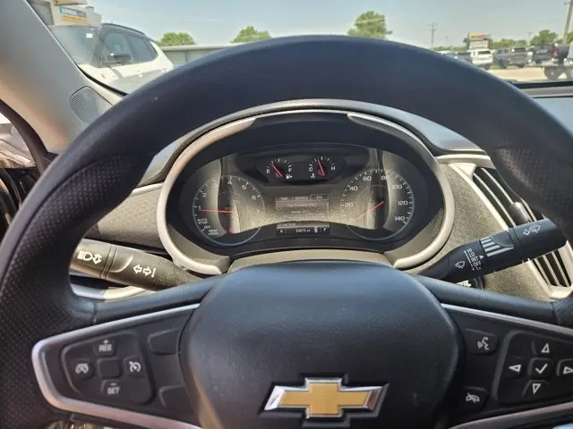 image-19