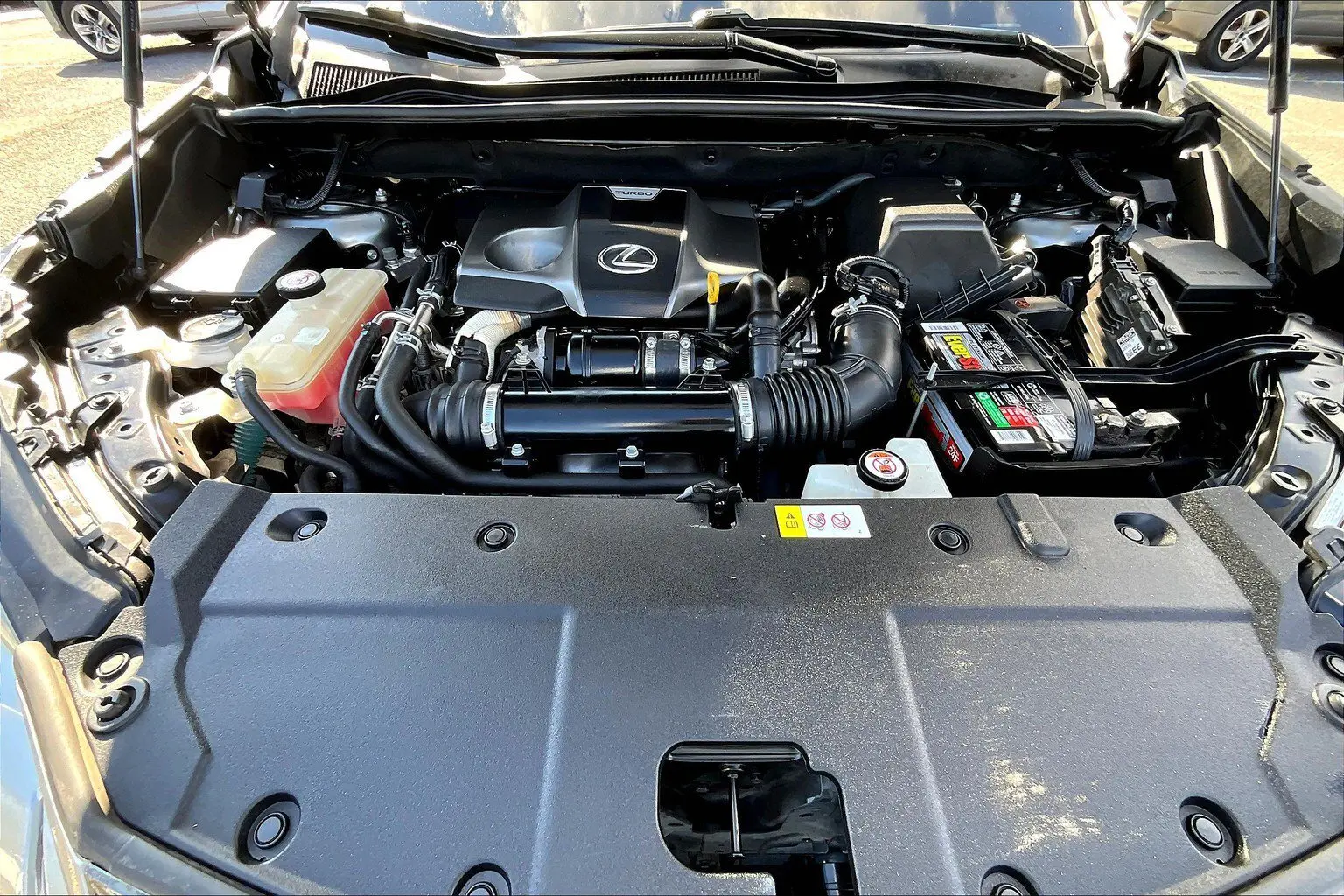 image-9