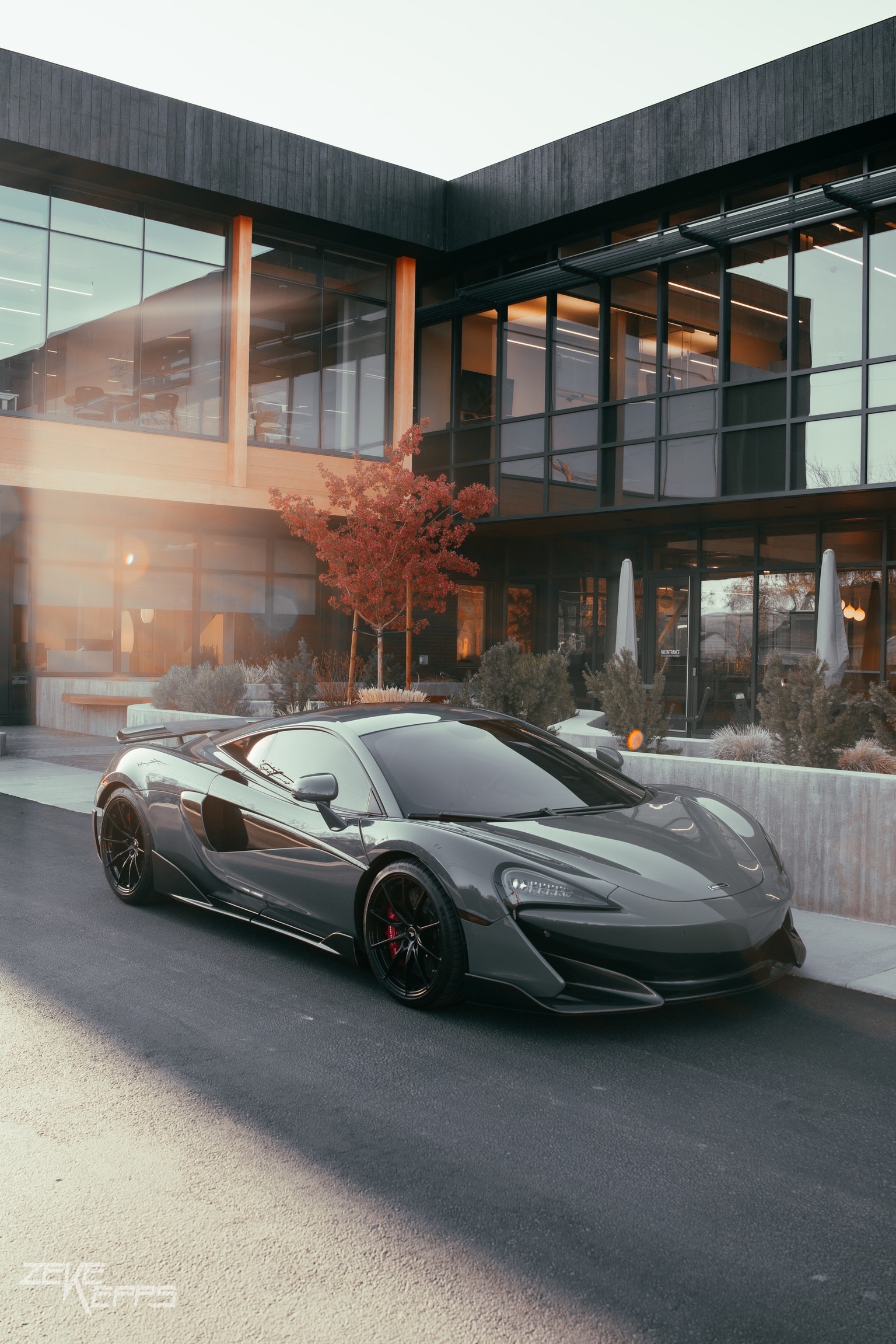 Window Tint