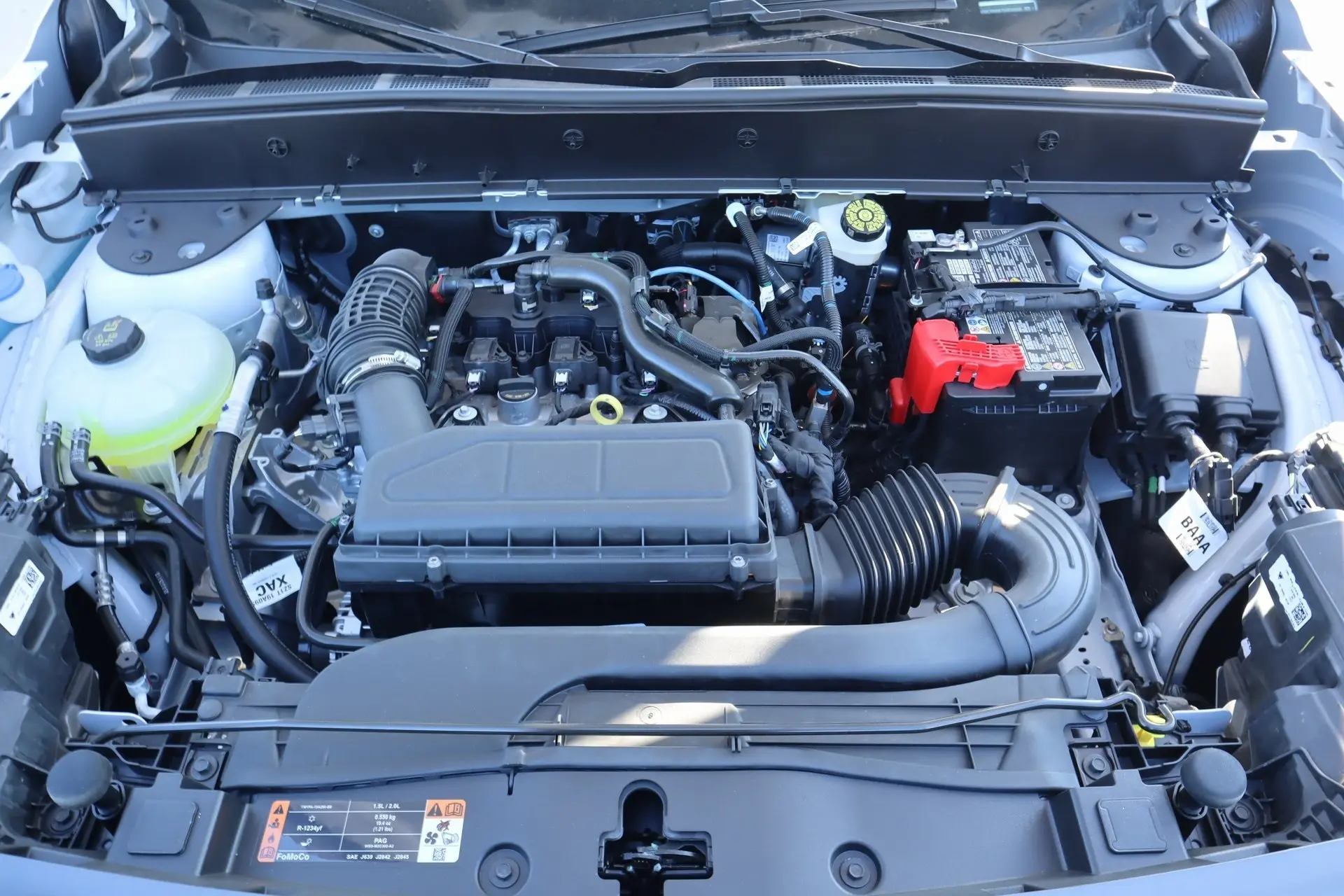 image-19