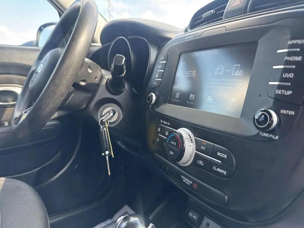 image-12