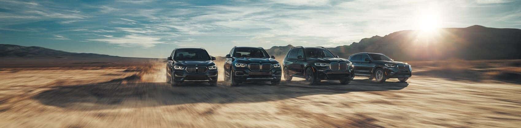 BMW X Series parked in a scenic location