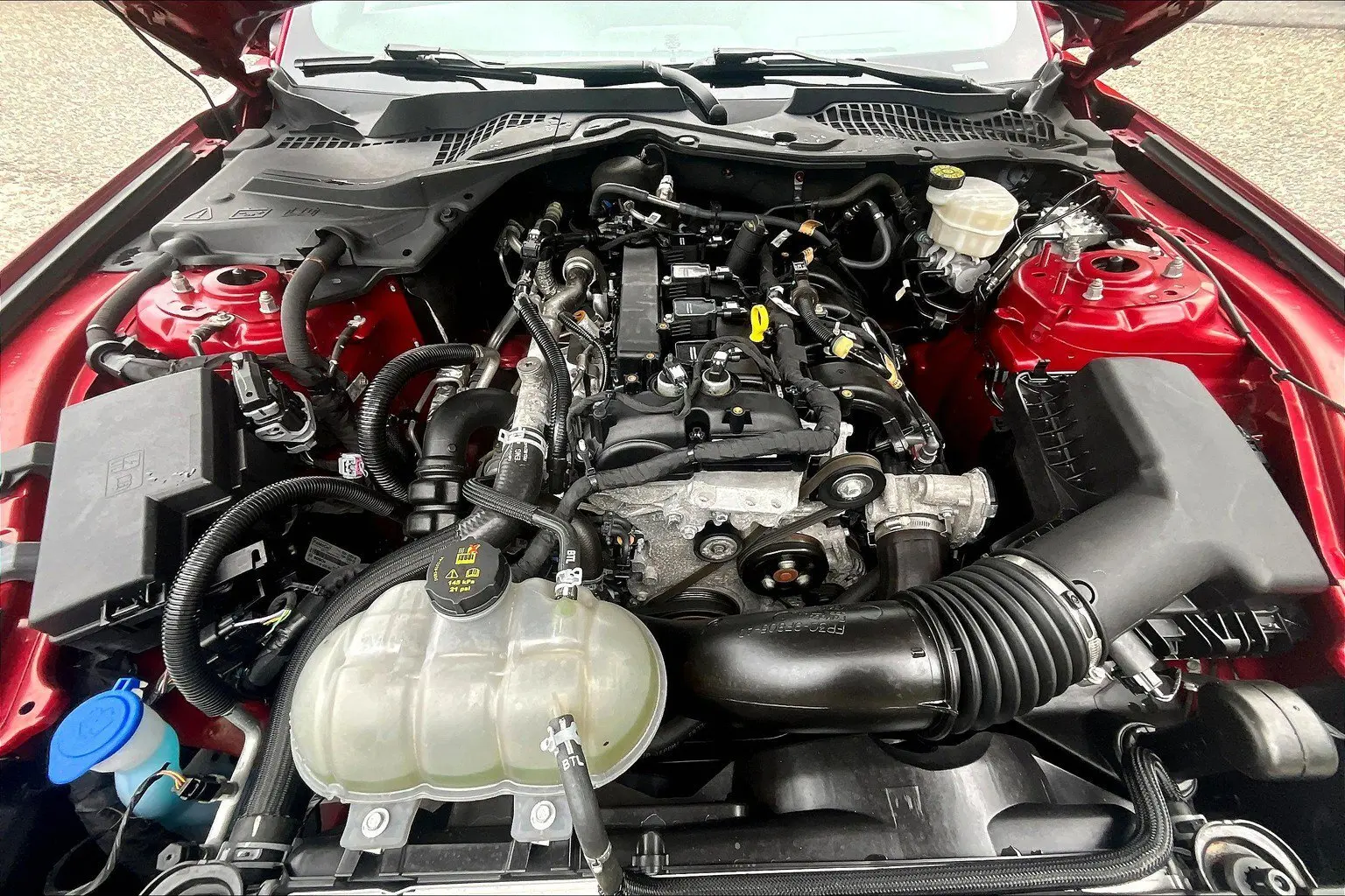 image-8
