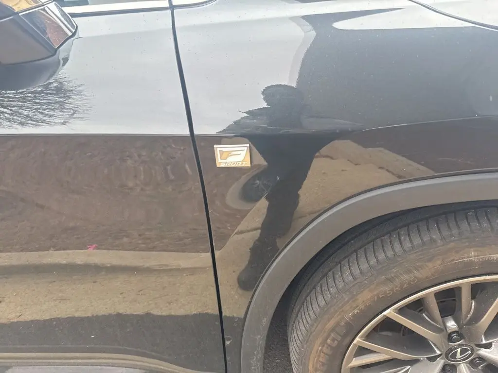 2022 Lexus RX 350 F SPORT Handling photo 2